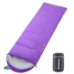 Oasis 250 XL3