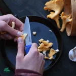 Field Chef Pocket Knife9